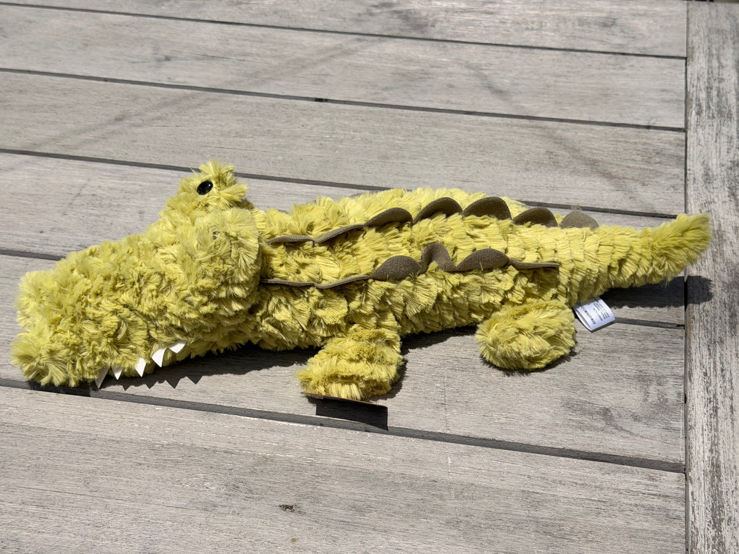 Kai the Alligator