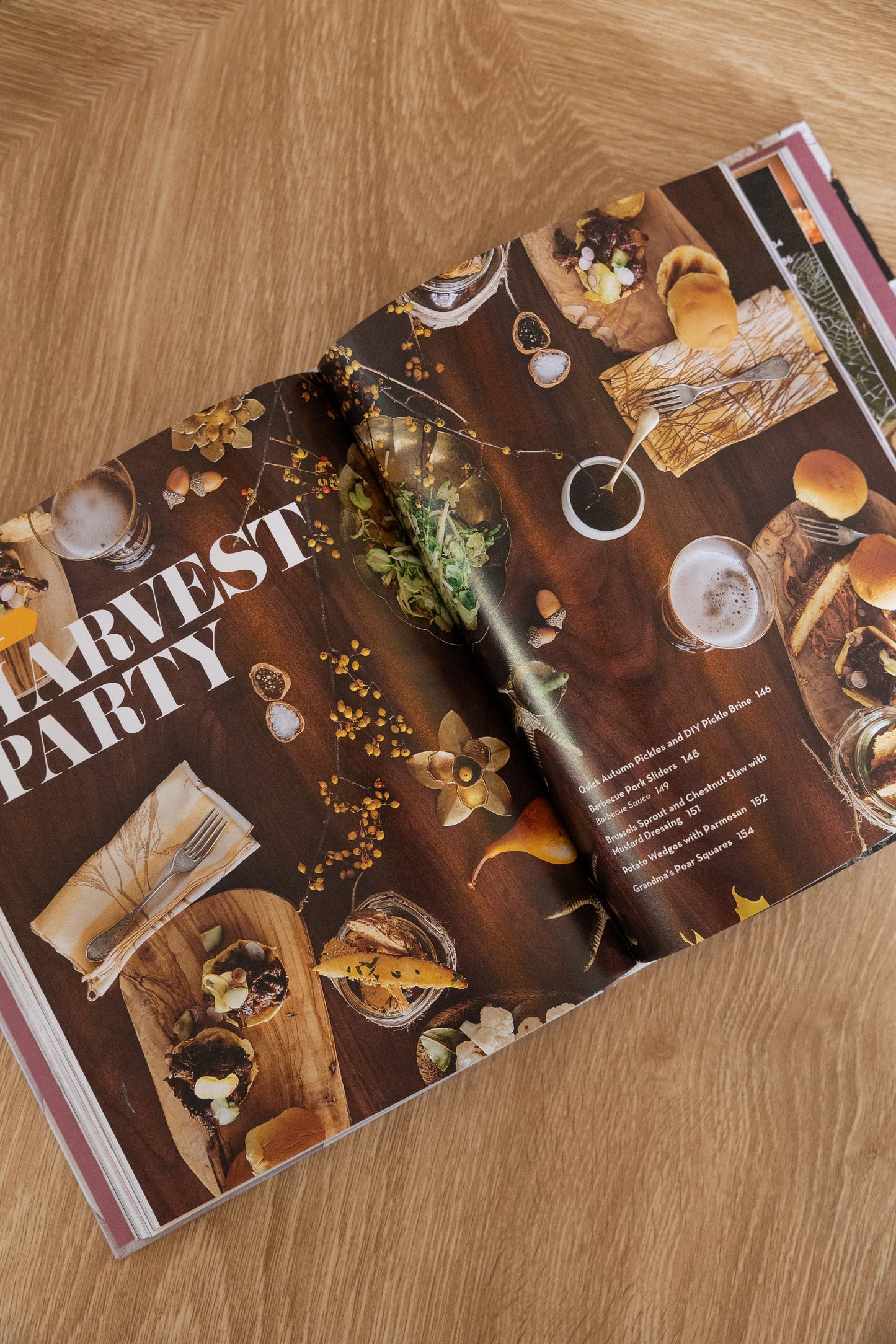 Life is a Party Book