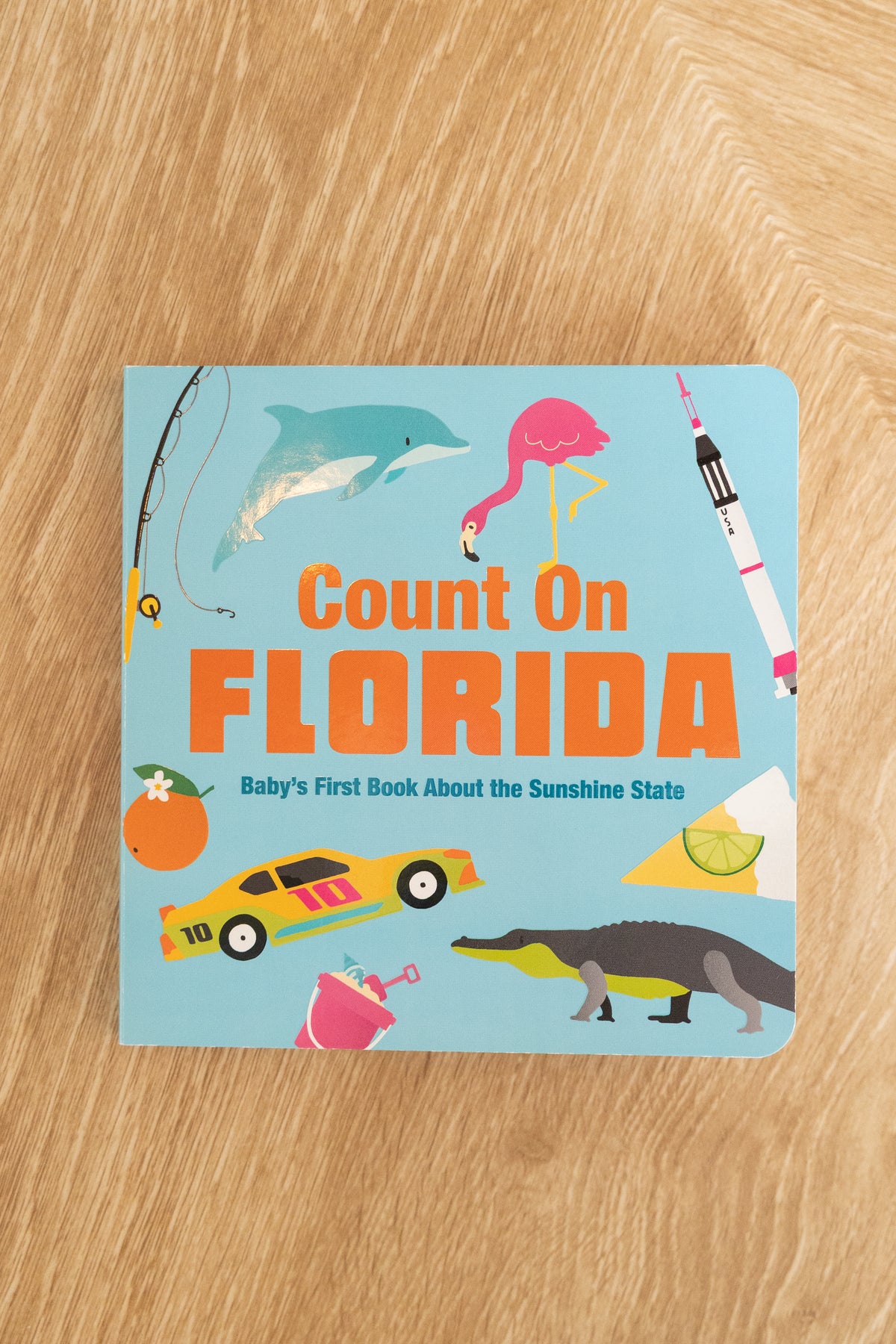 Count on Florida Book