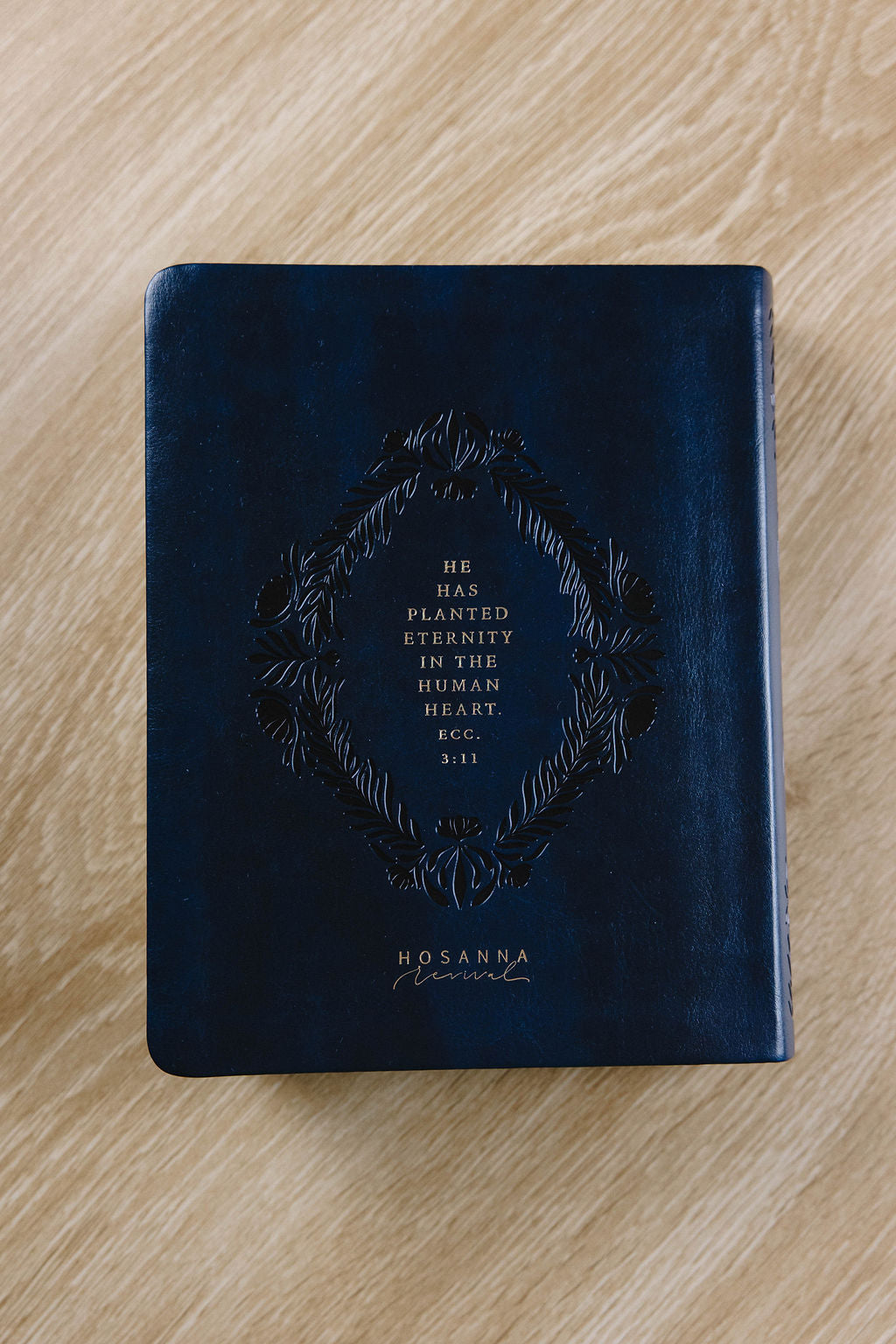 Versailles NLT Notetaking Bible
