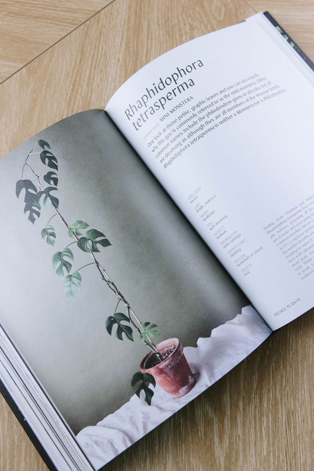 Plantopedia