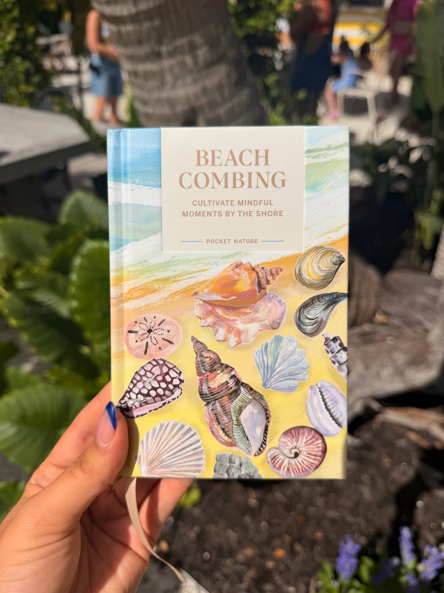 Beachcombing: Little Guides to Nature