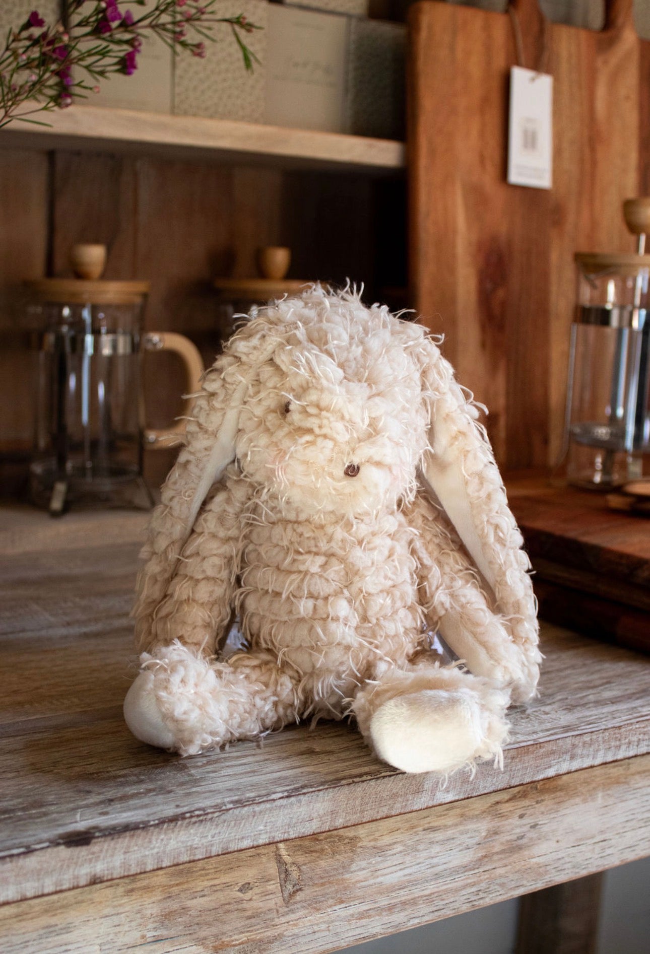 Harey the Bunny