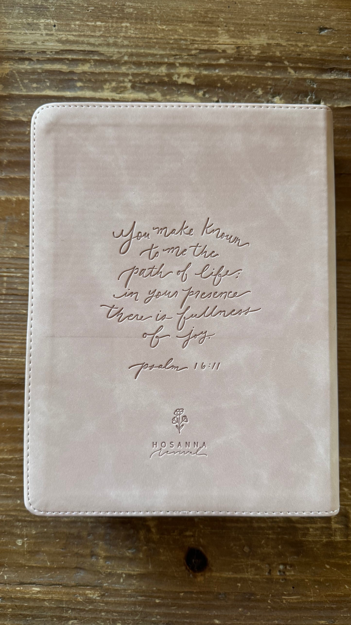 Shiloh Theme ESV Journaling Bible