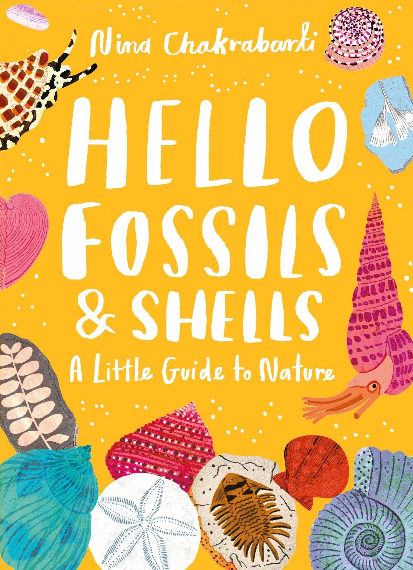 Hello Fossils and Shells: Little Guides to Nature