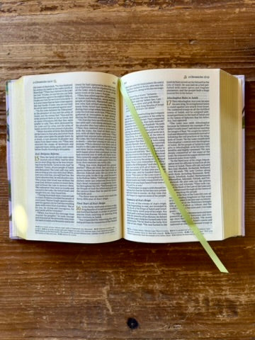 Willow Theme NLT Compact Bible