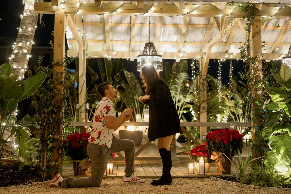 A celebration in the tropical garden