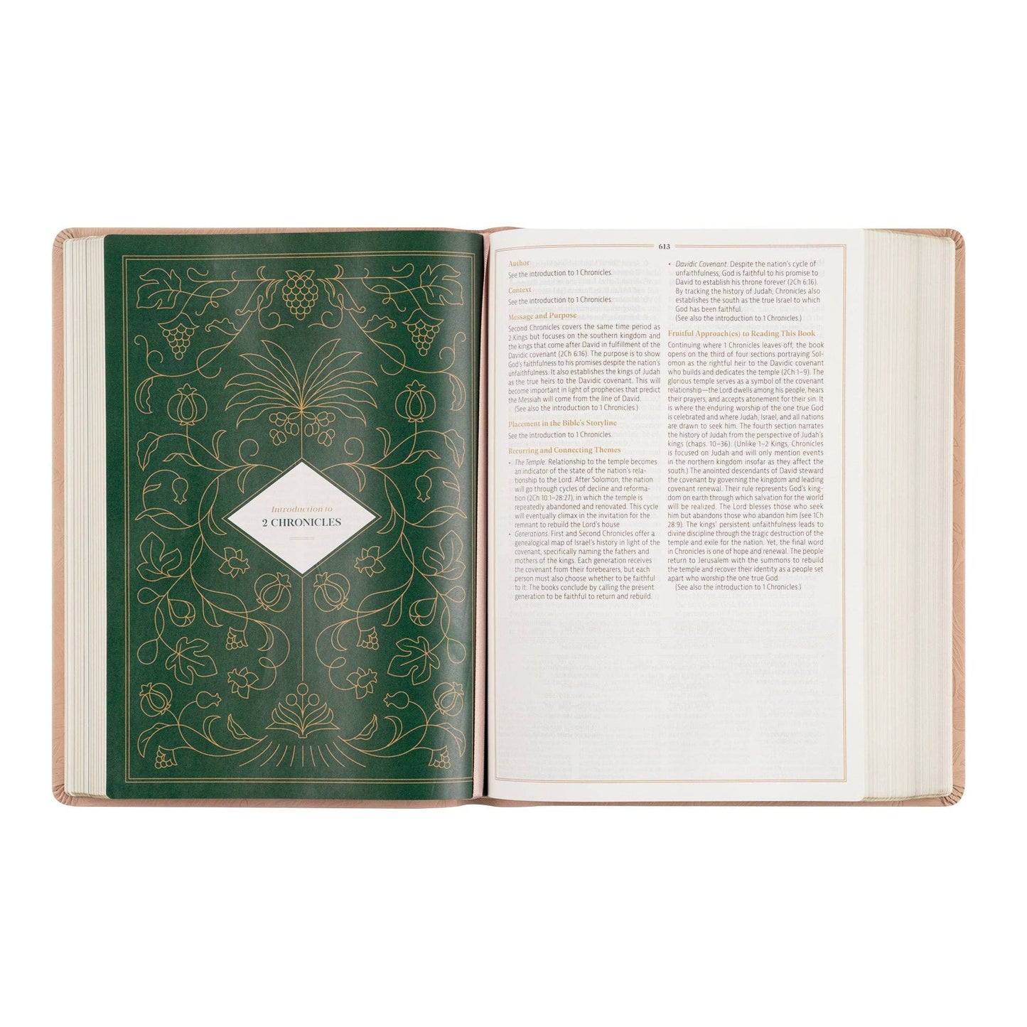CSB Women's Study Bible: Sonora Theme