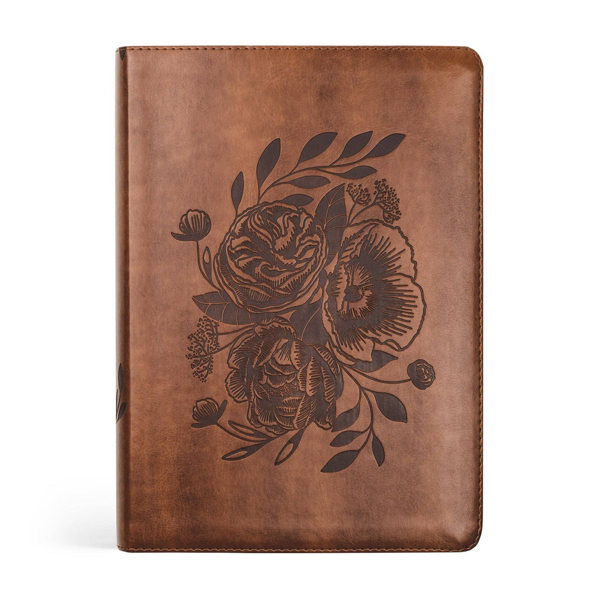 Aurora Theme ESV Study Bible
