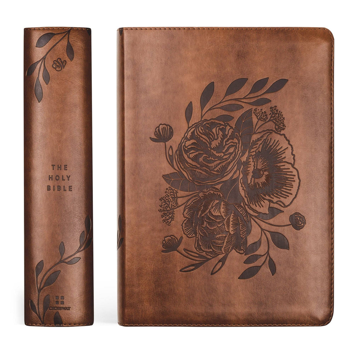 Aurora Theme ESV Study Bible