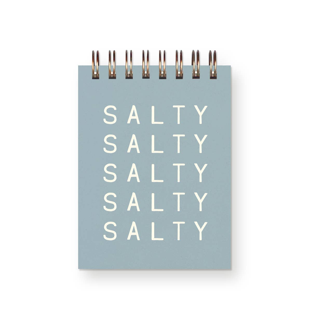 Salty Salty Jotter Notebook