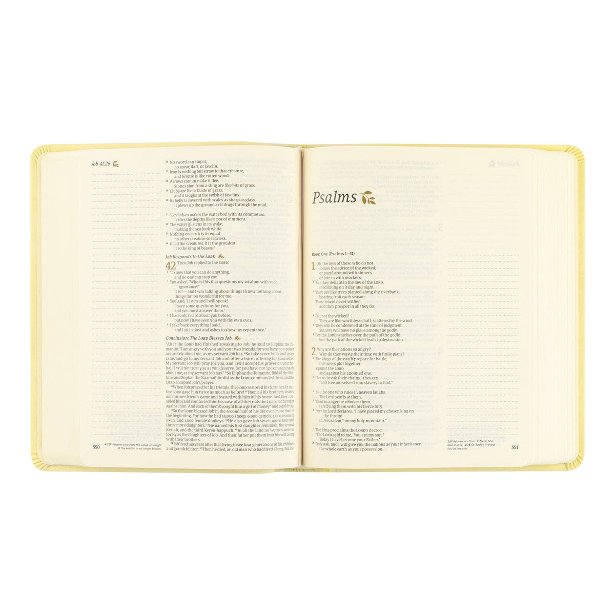 NLT Notetaking Bible: Belfast Theme
