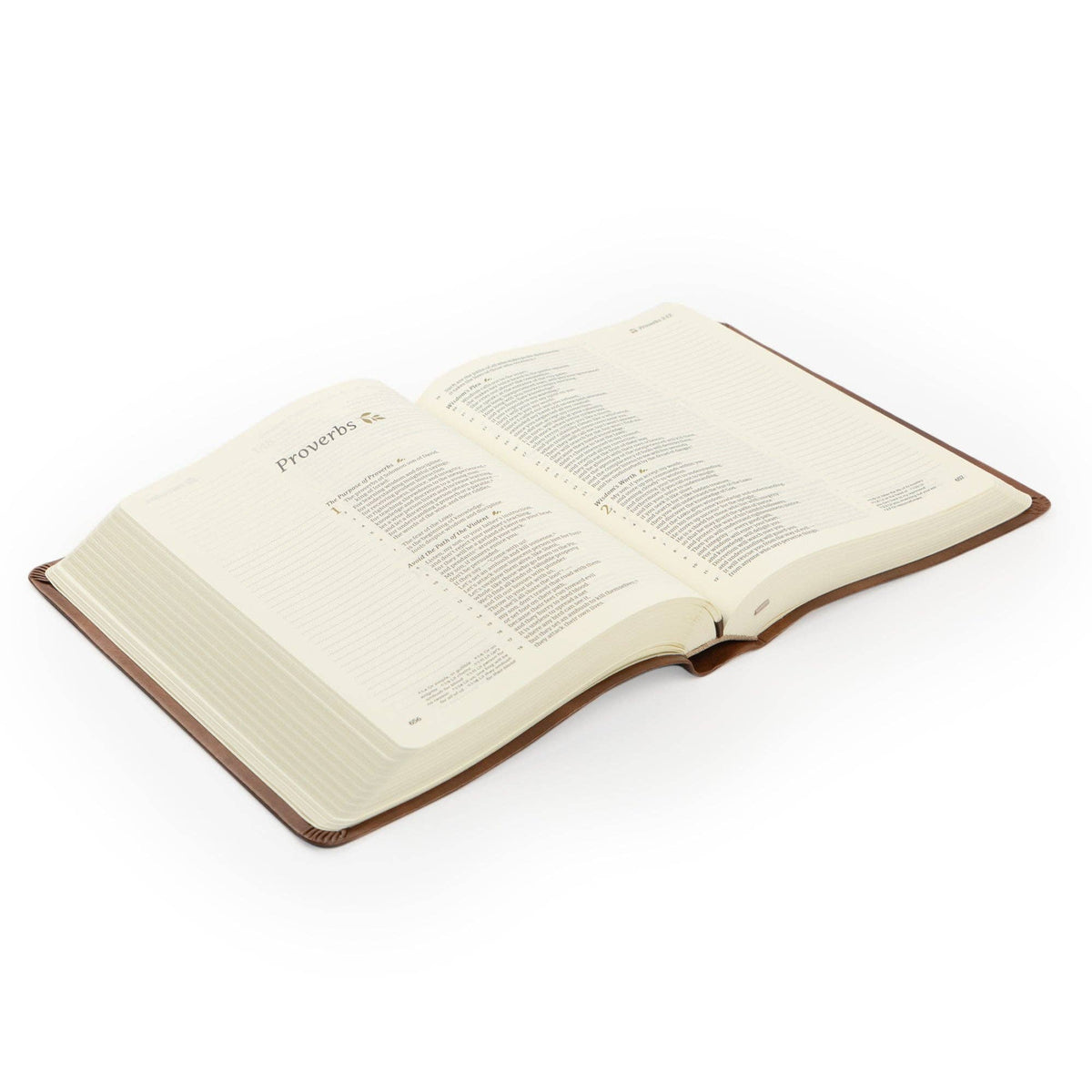 Edinburgh CSB Notetaking Bible