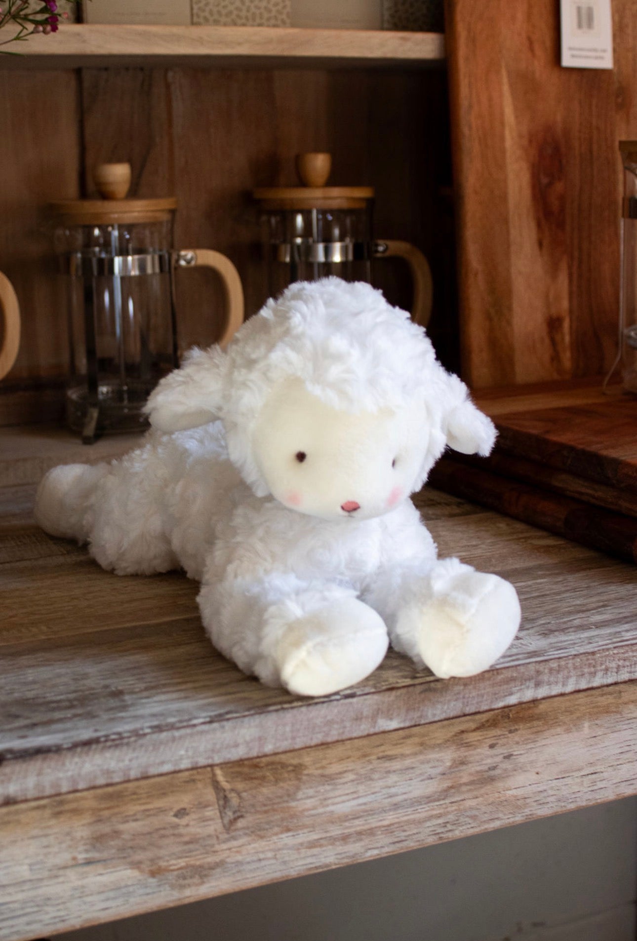Kiddo the Lamb