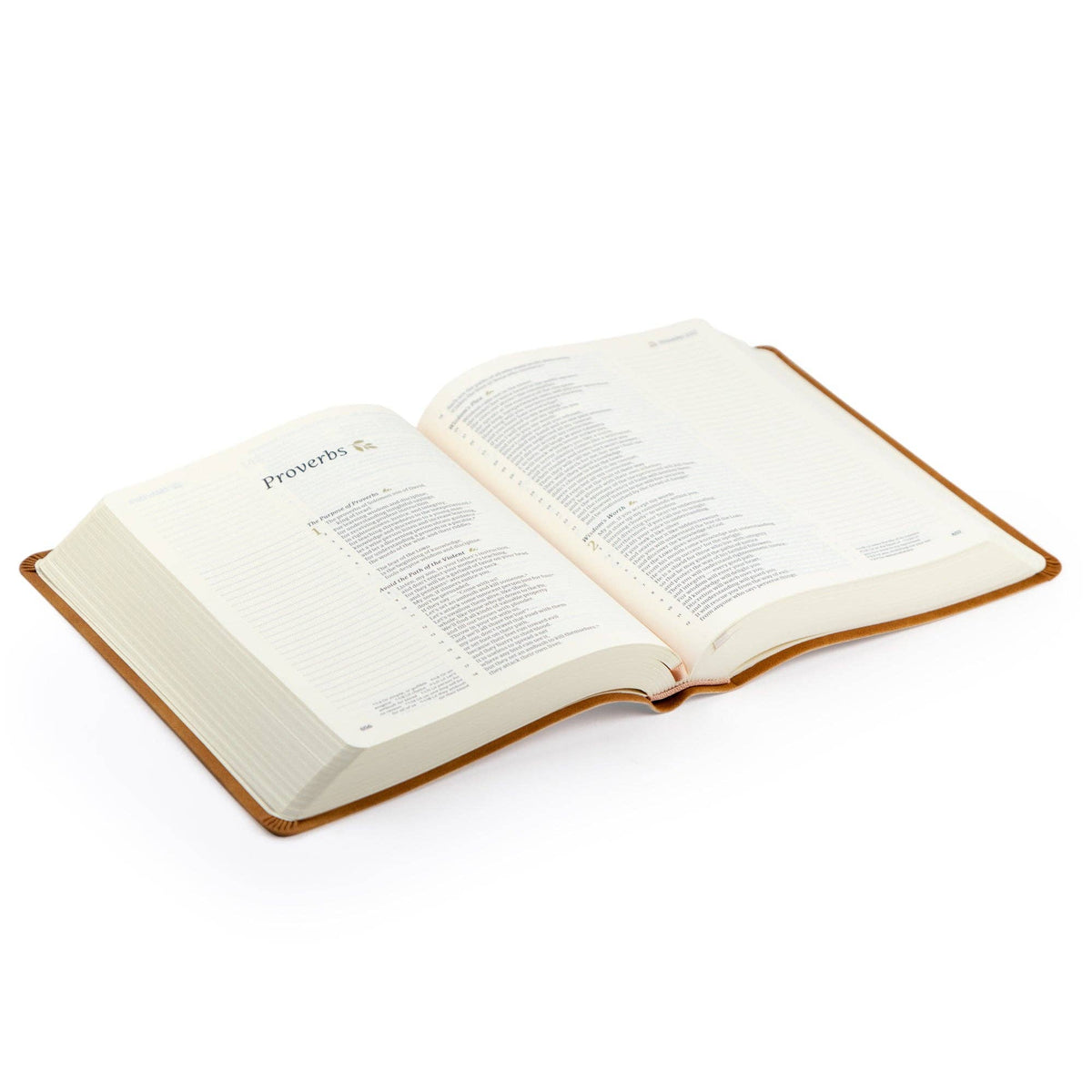 Amelia Theme CSB Notetaking Bible