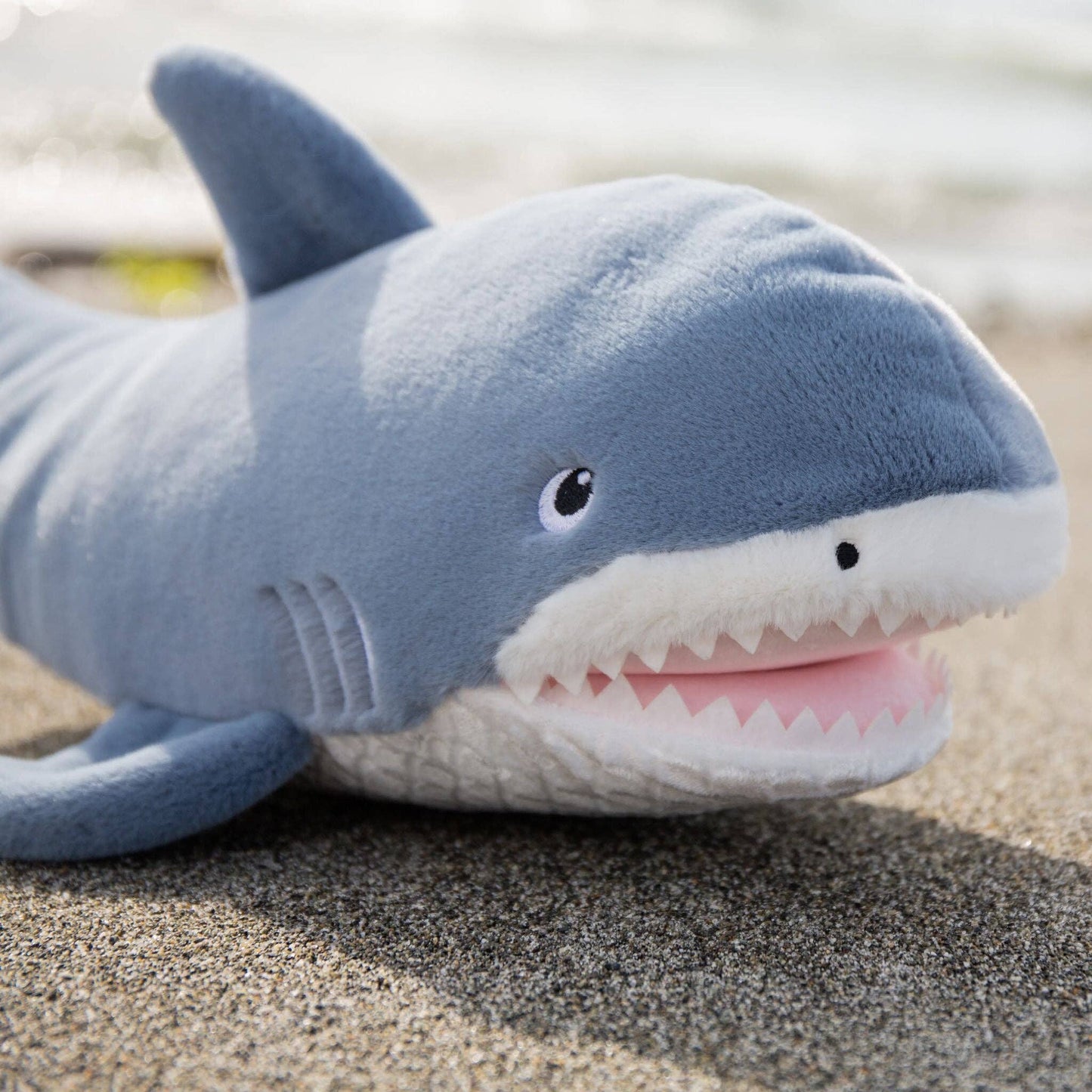 Axel the Shark