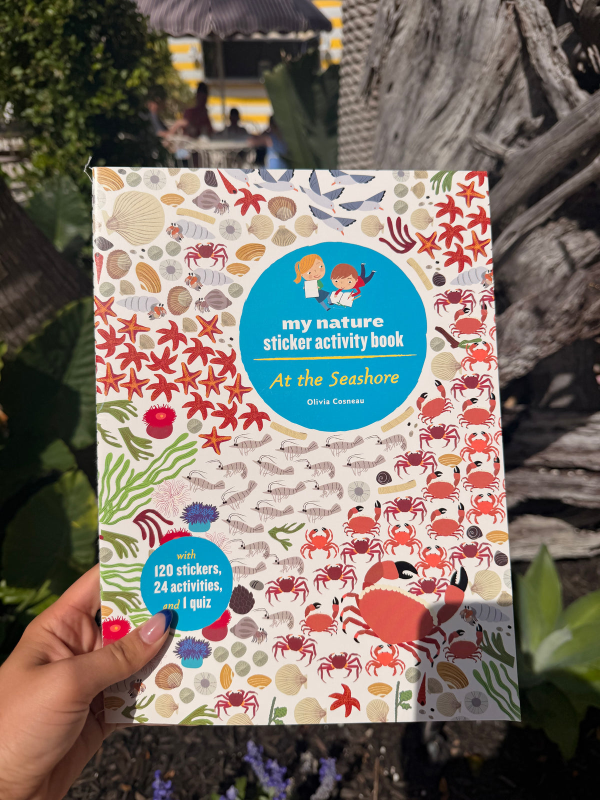 At the Seashore: Sticker Book
