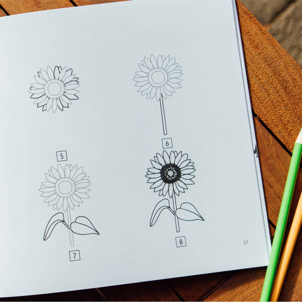 How To Draw Summer Things