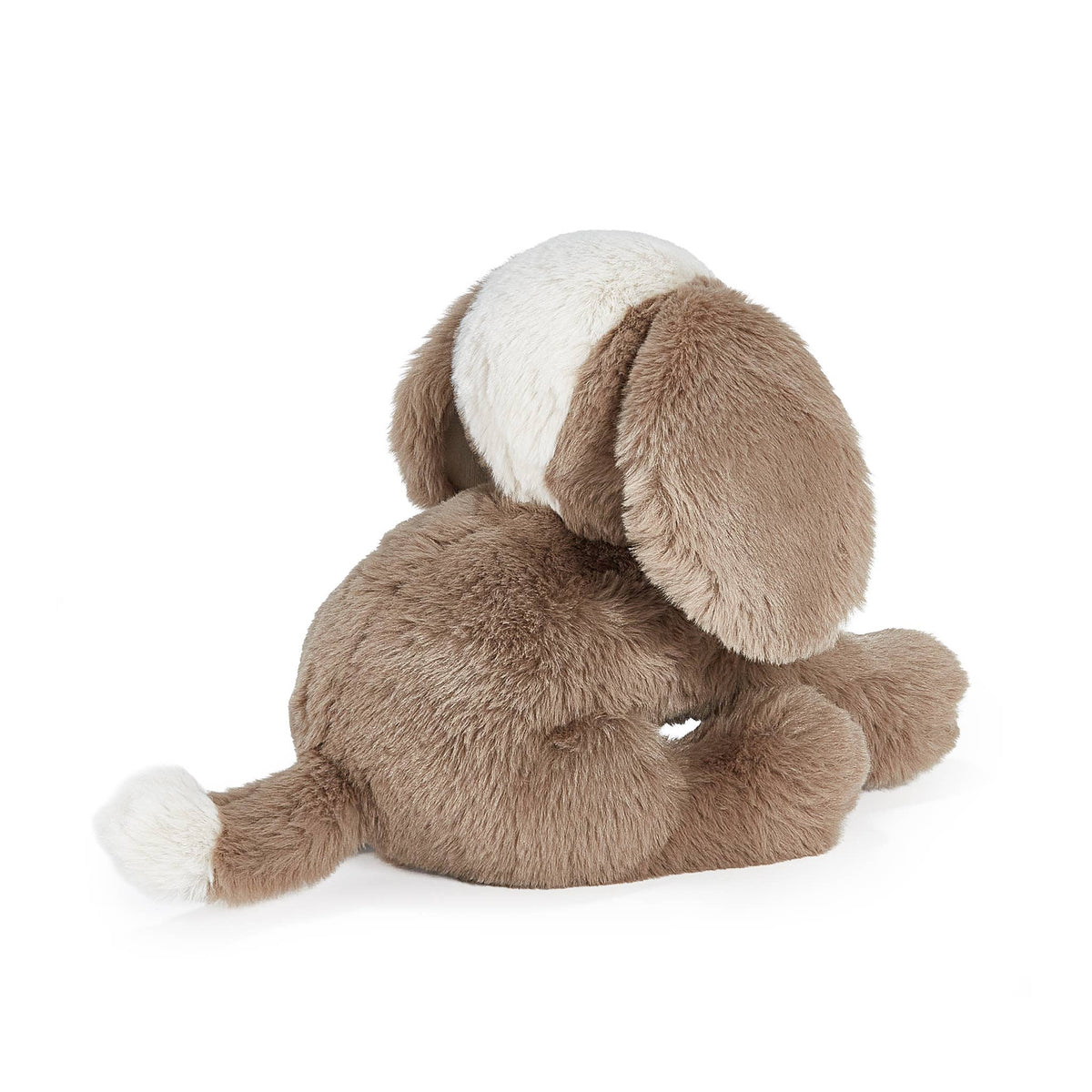 Toffee the Floppy Puppy