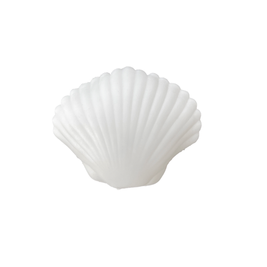 Seaside Clamshell Squeeze Squishy