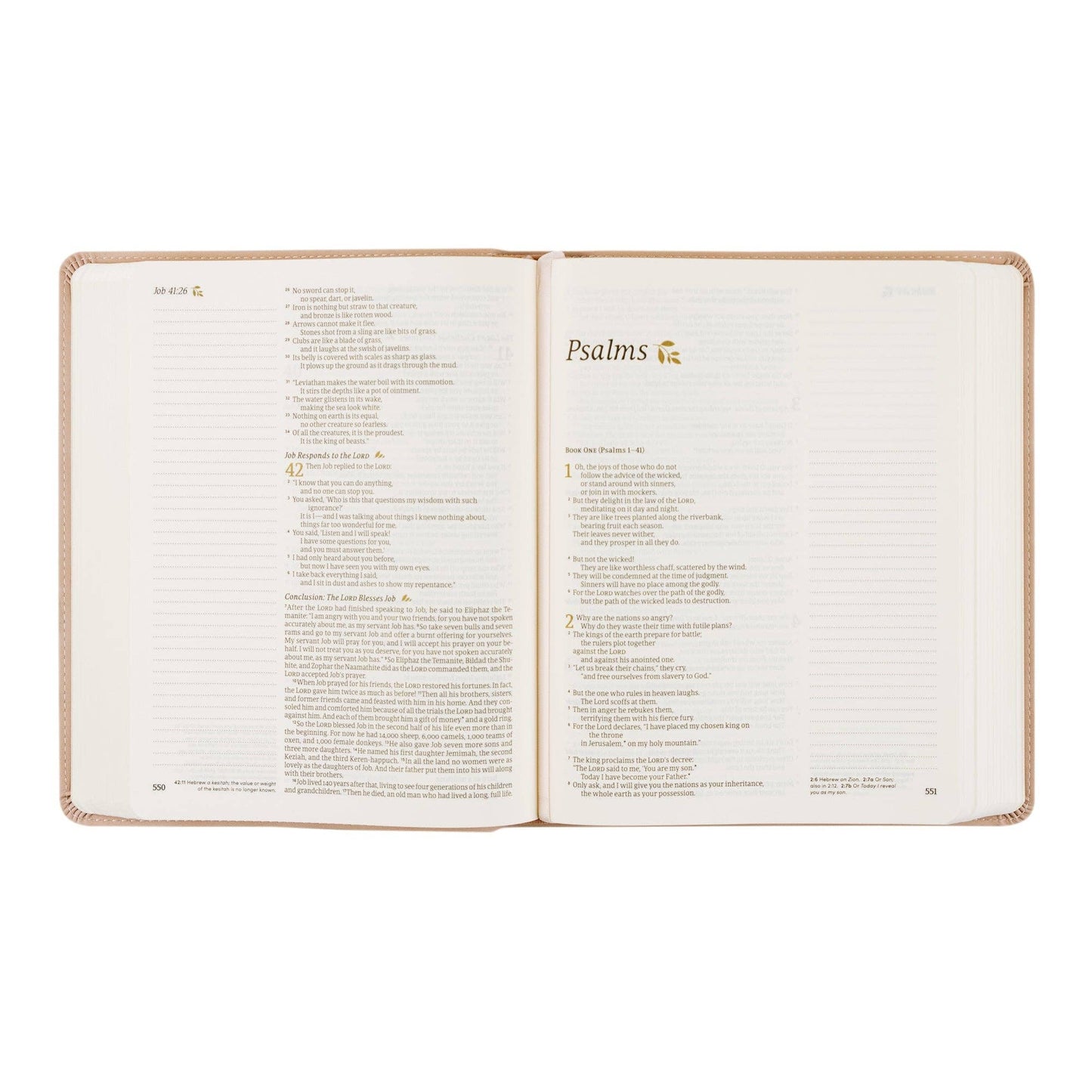 Shiloh Theme NLT Notetaking Bible