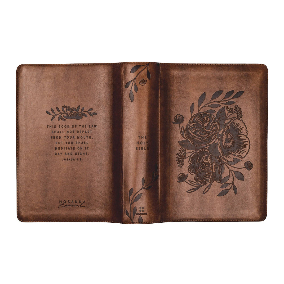 Aurora Theme ESV Study Bible