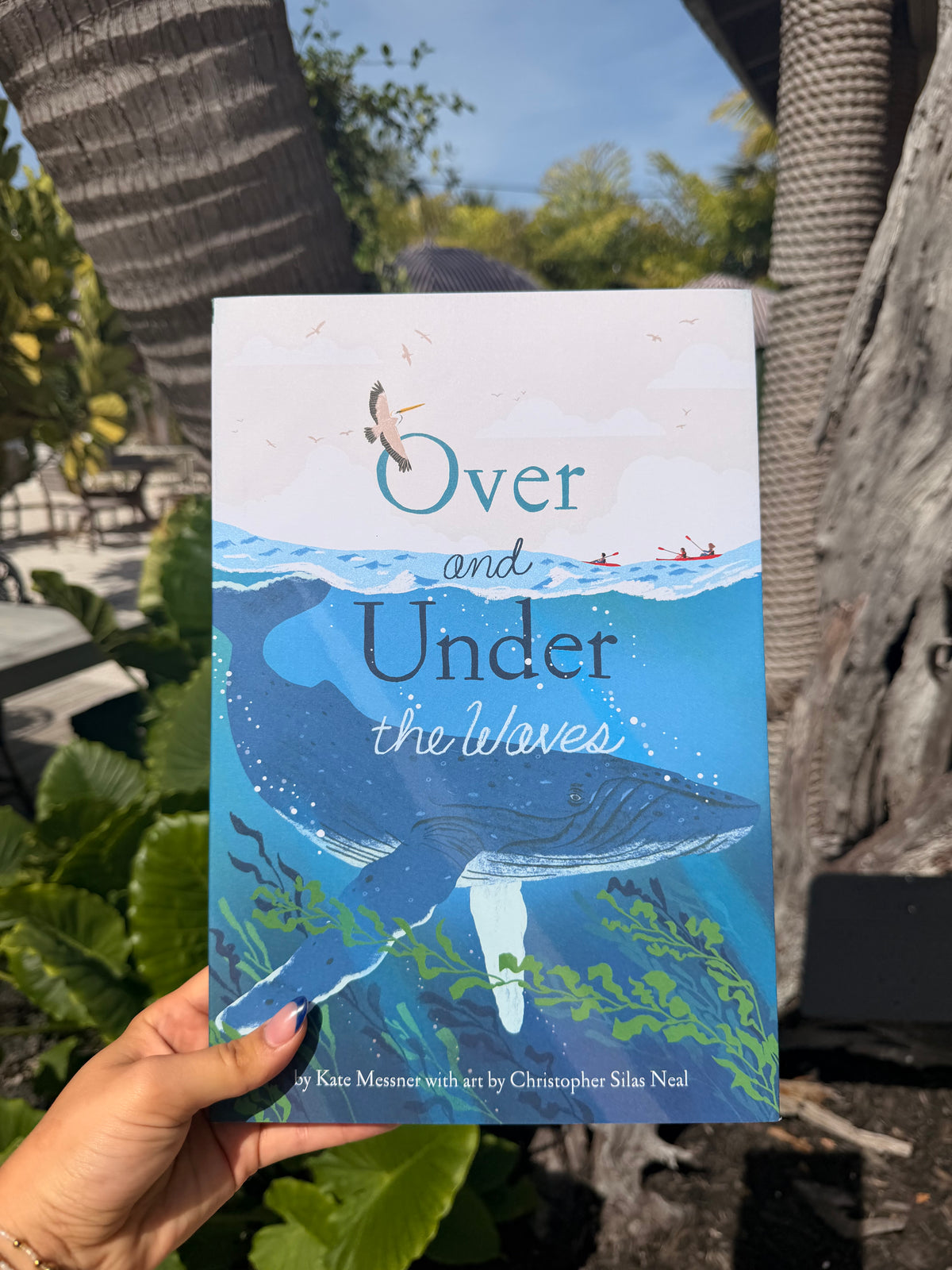 Over and Under the Waves
