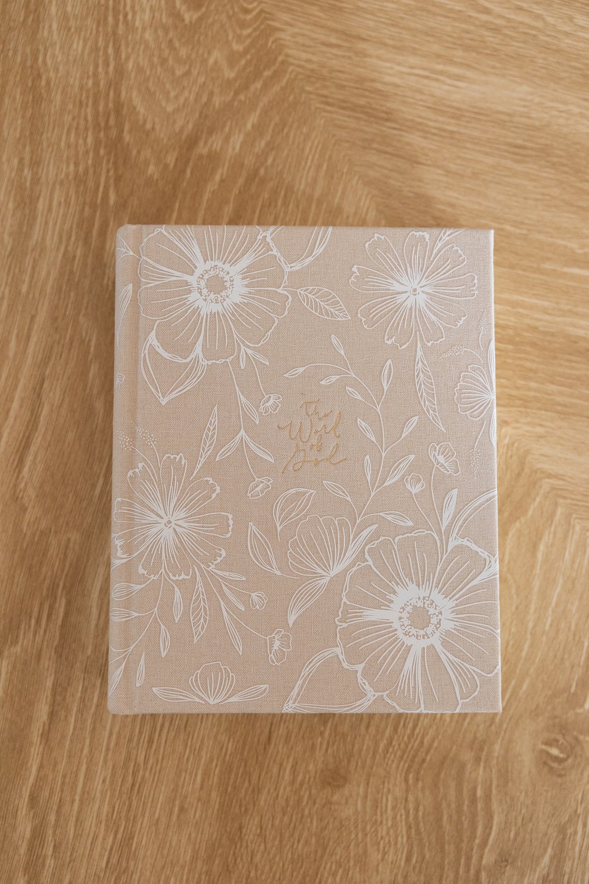 Cordova NLT Notetaking Bible