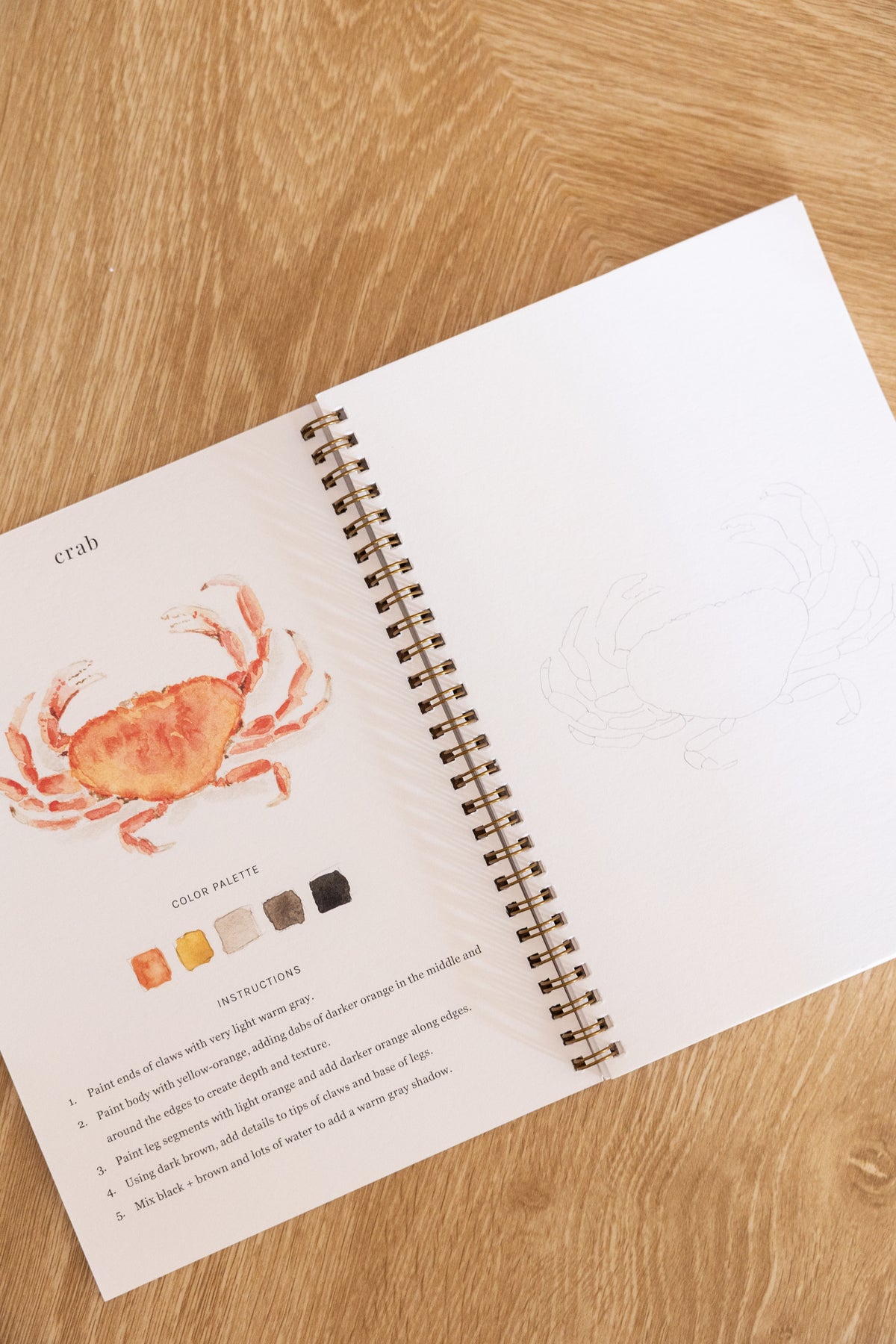 Seaside Watercolor Book