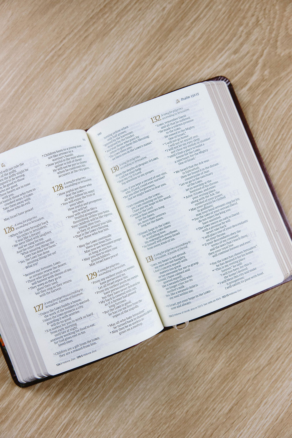 Yorkshire Theme NLT Compact Bible