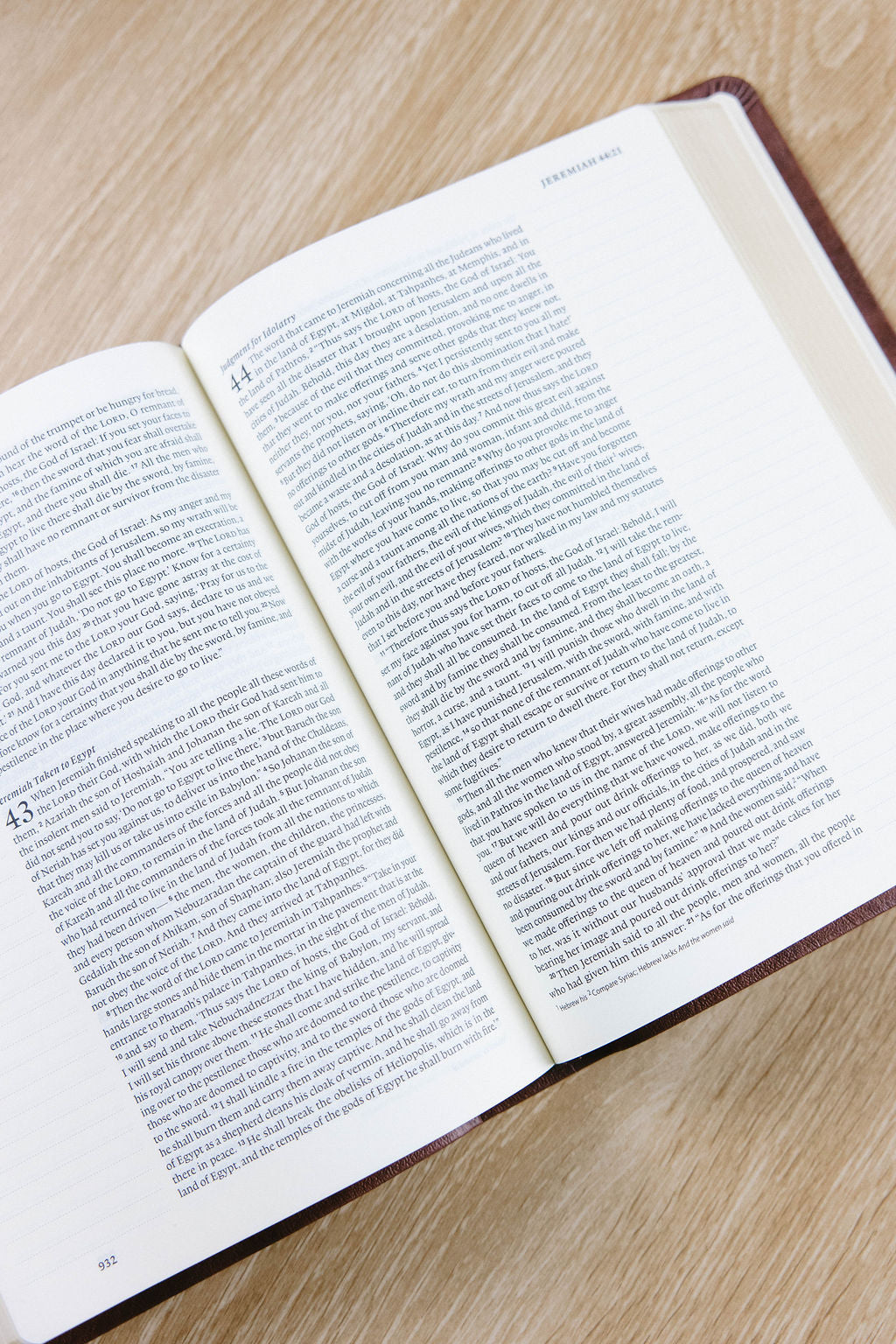 Palma Theme ESV Journaling Bible