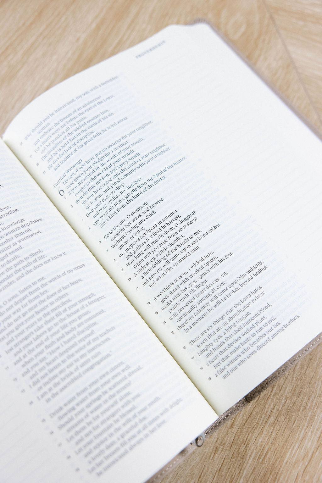 ESV Journaling Bible Nara Theme
