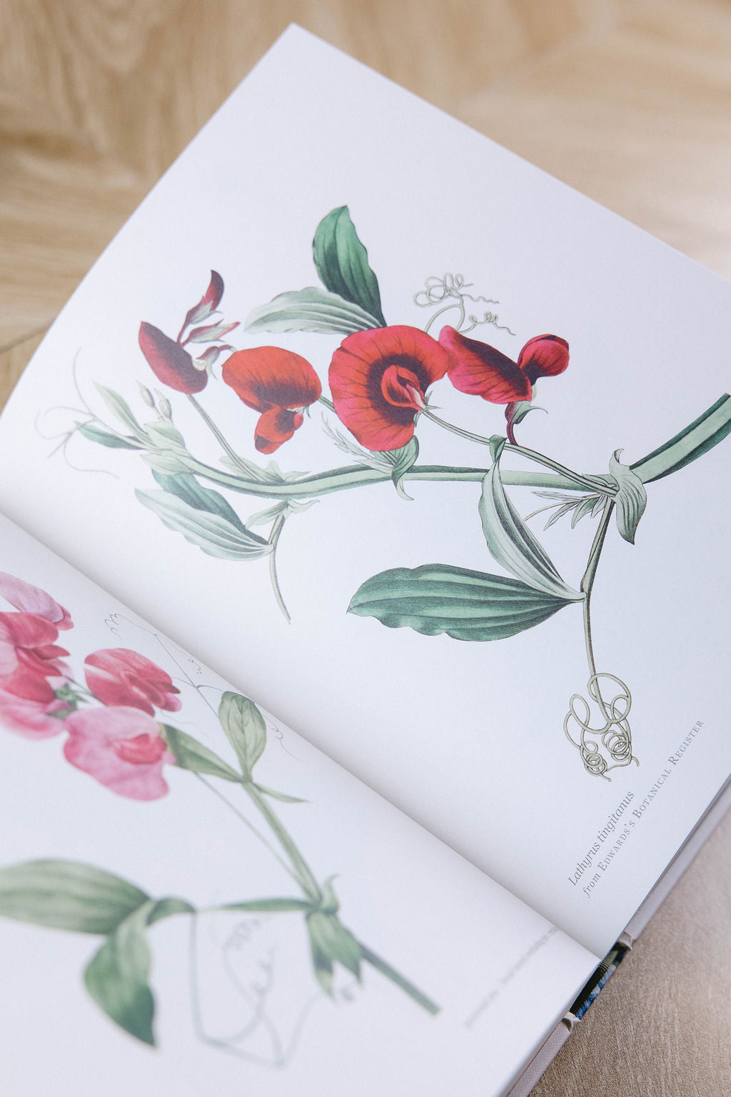Biblioflora Book