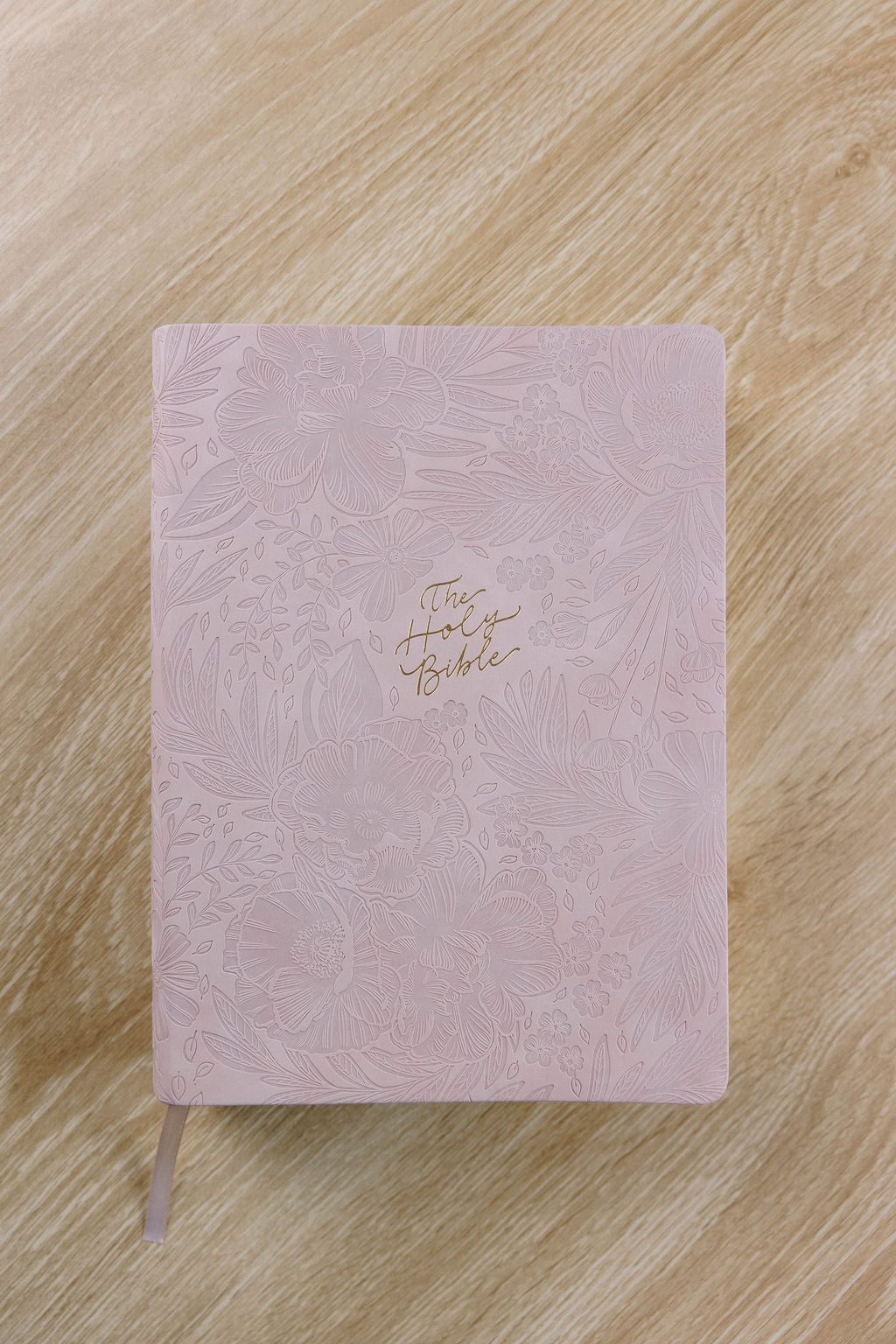 CSB Sonora Study Bible