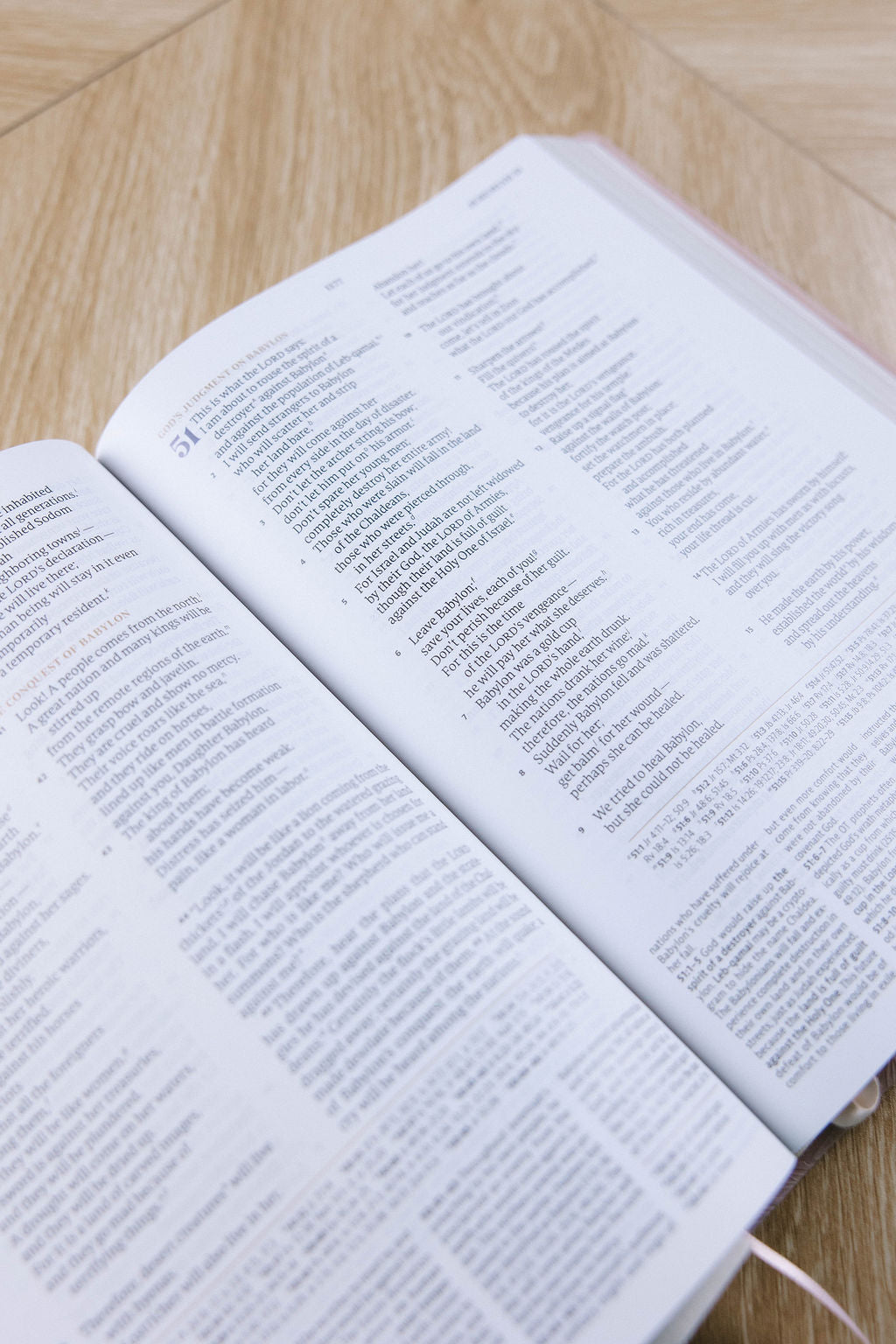 CSB Sonora Study Bible