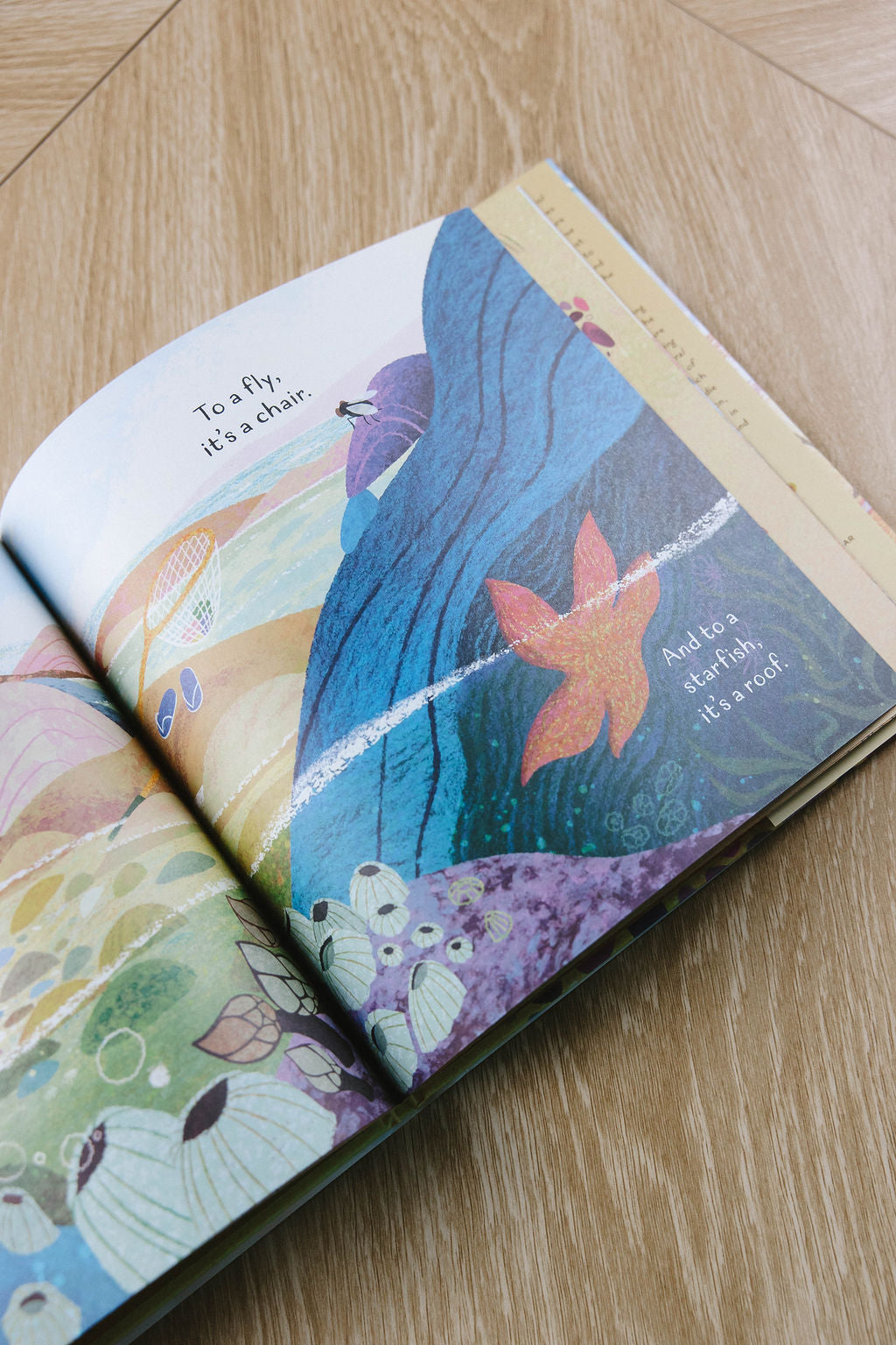 Just a Shell, Or Is It? Children's Book