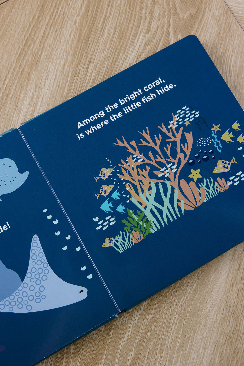 Ocean Friends Kids Board Book