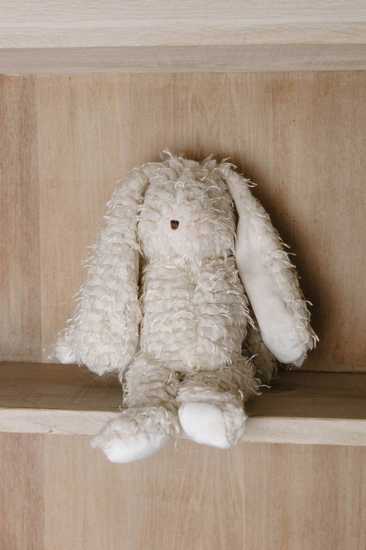 Harey the Bunny