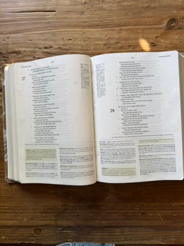 Manila Theme ESV Study Bible