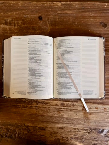 Lijiang Theme NLT Notetaking Bible