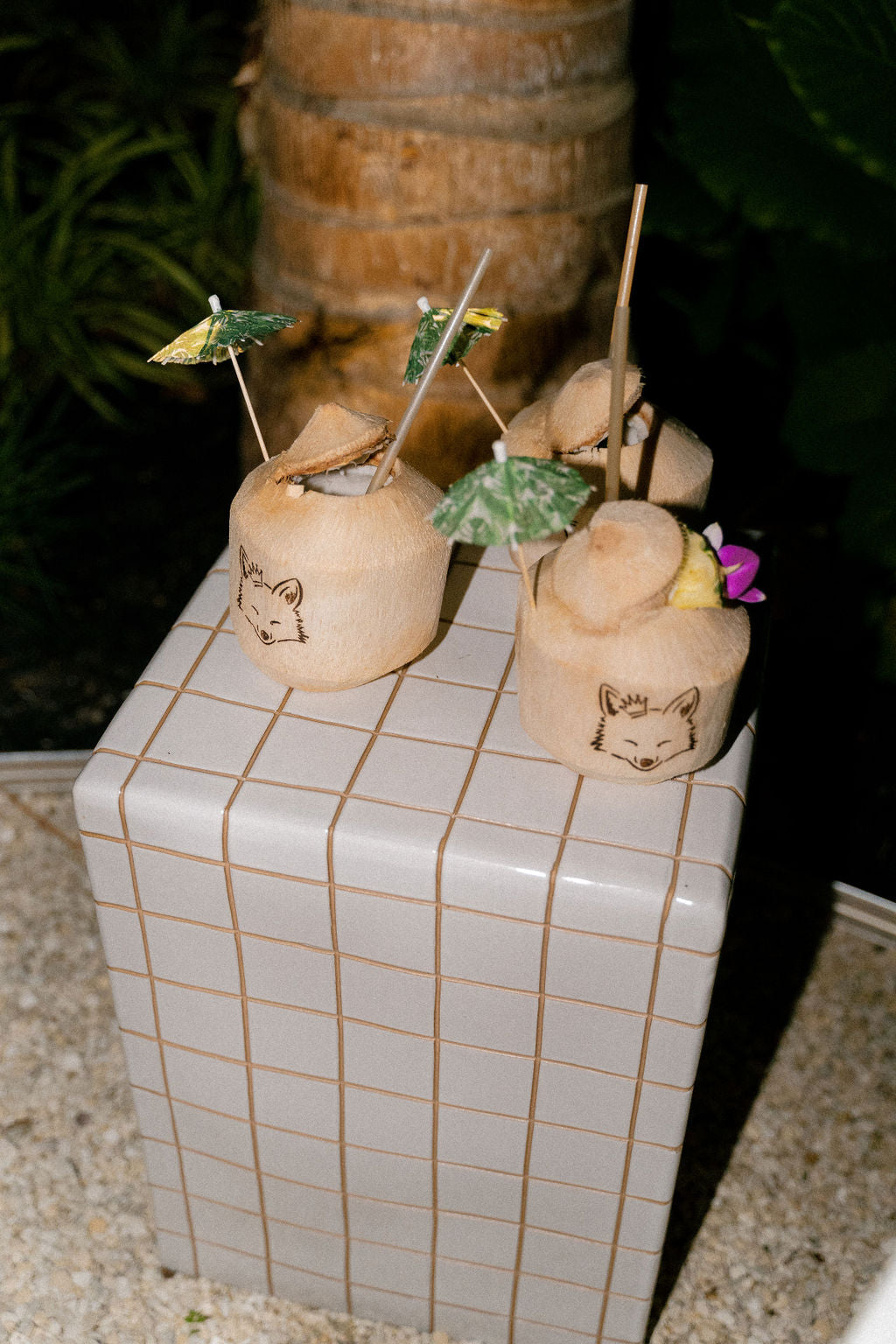 Evening reception at The Fox