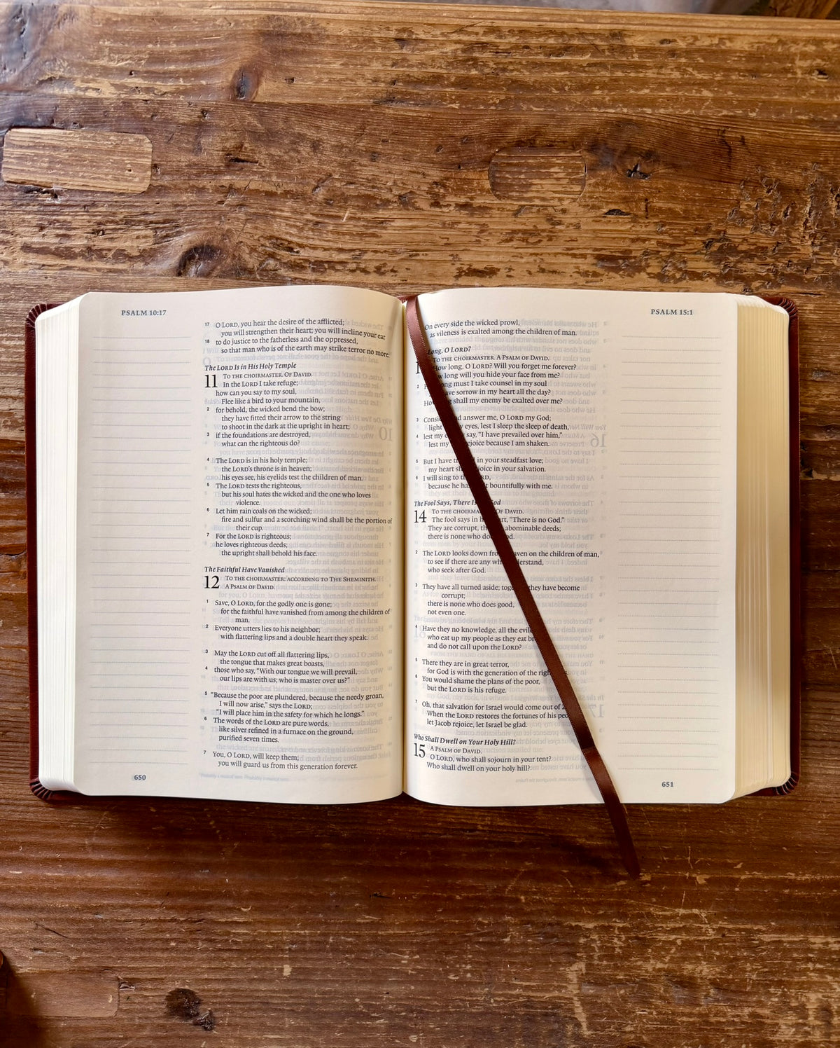 Verona ESV Large Print Journaling Bible