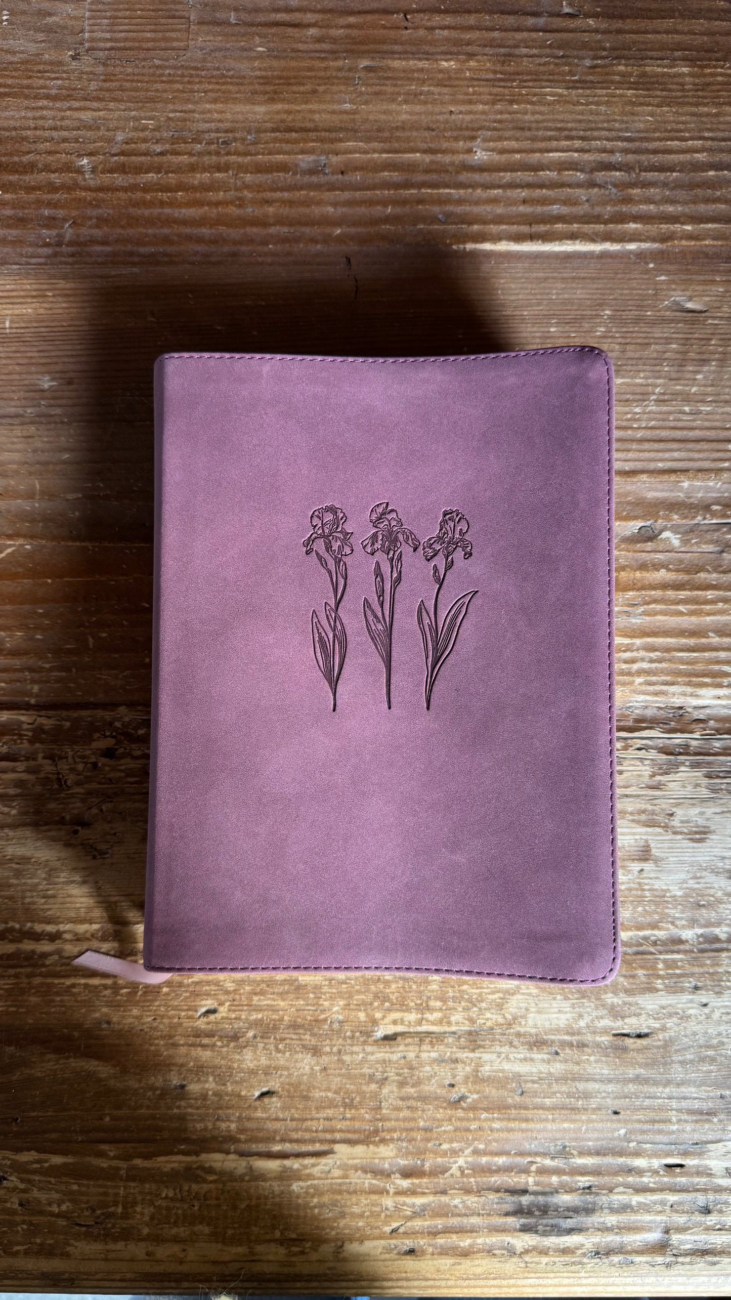 Helena Theme: ESV Journaling Bible