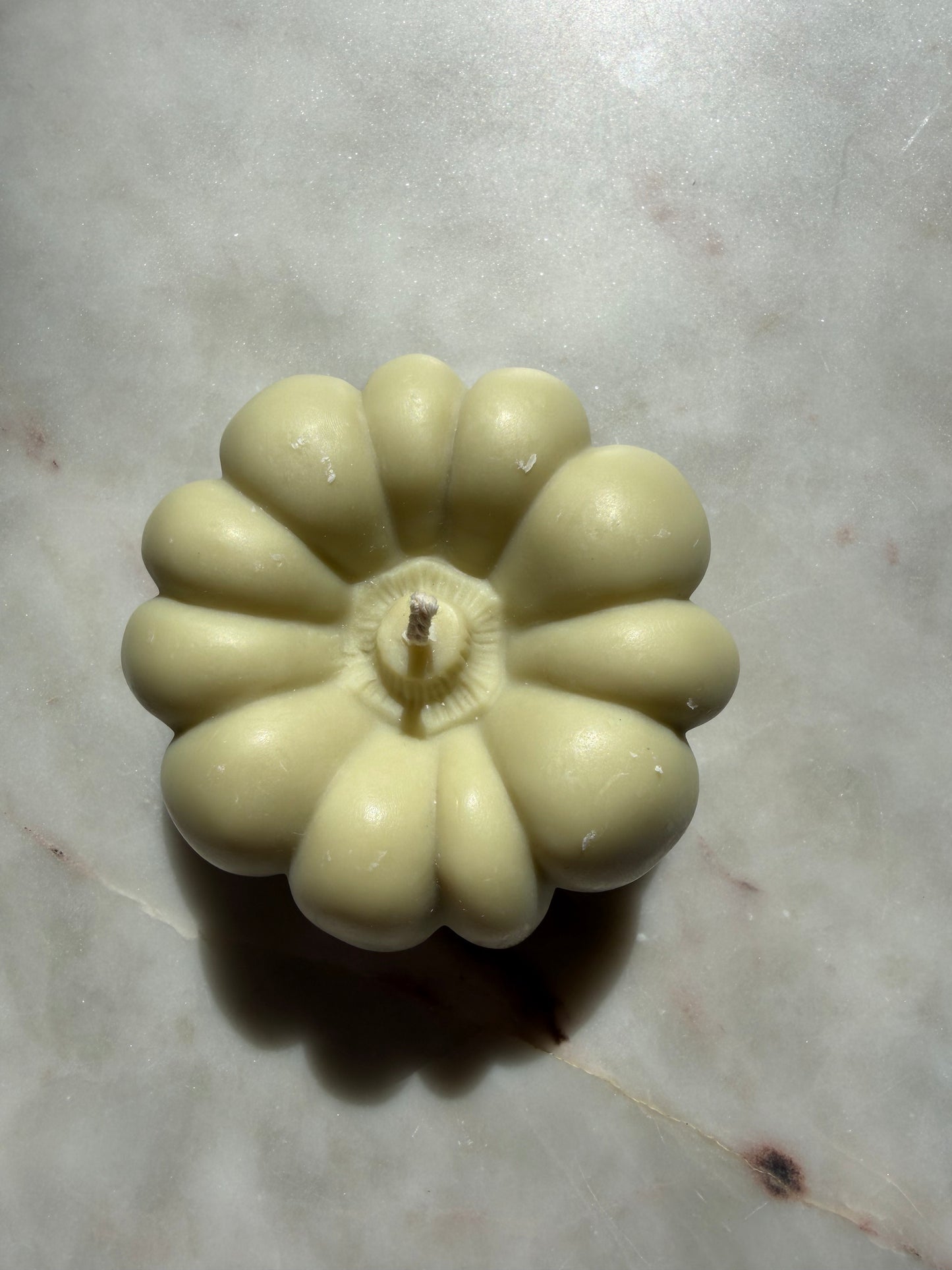Sage Pumpkin Candle