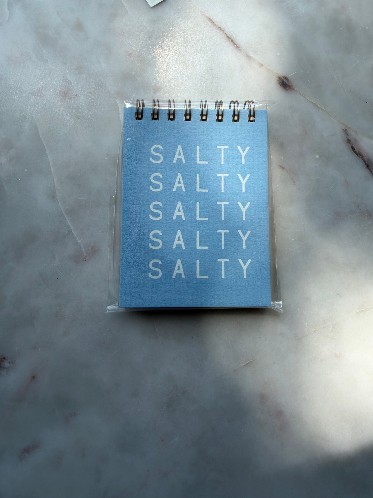 Salty Salty Jotter Notebook