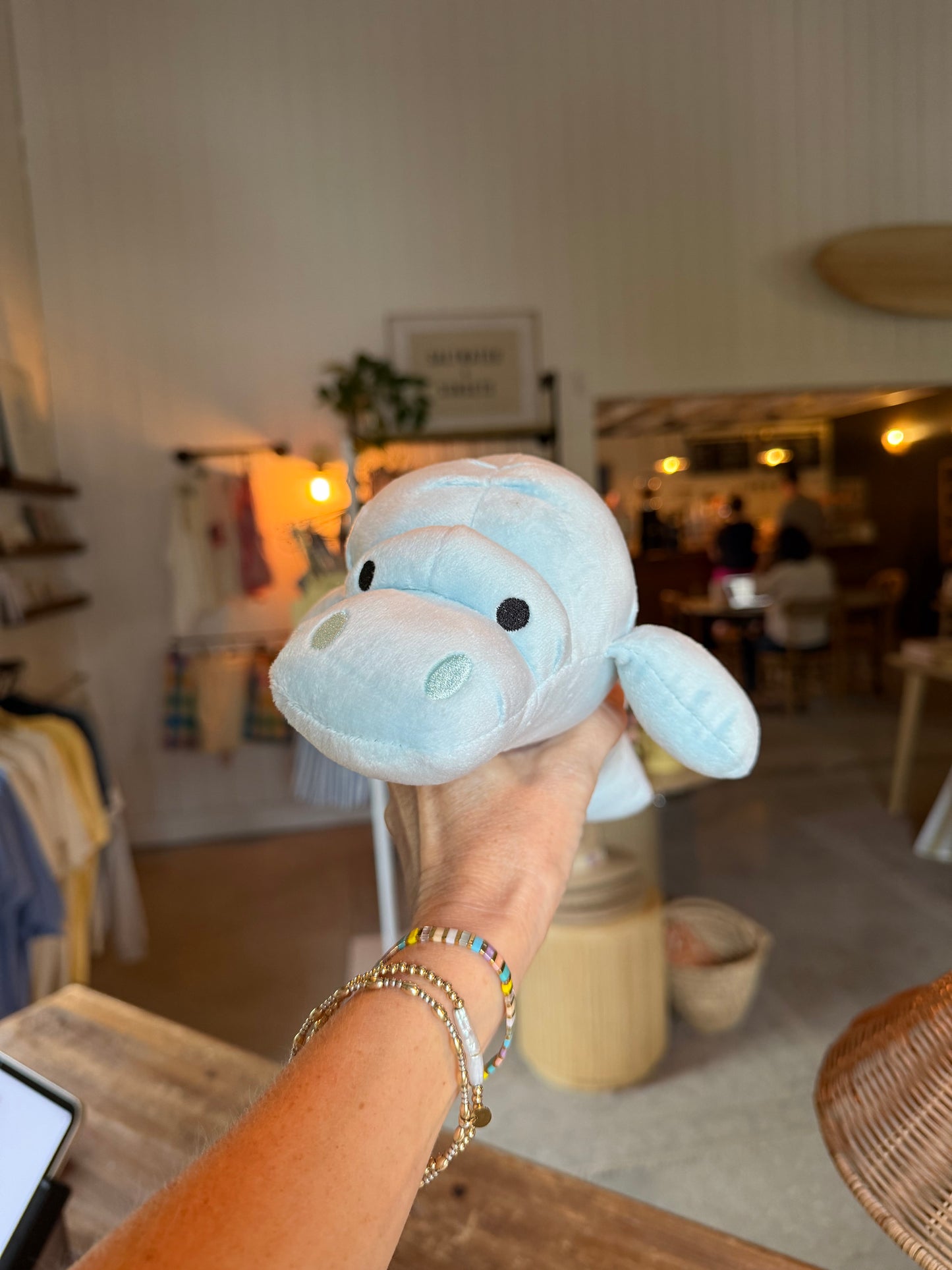 Snooty Manatee Stuffed Animal