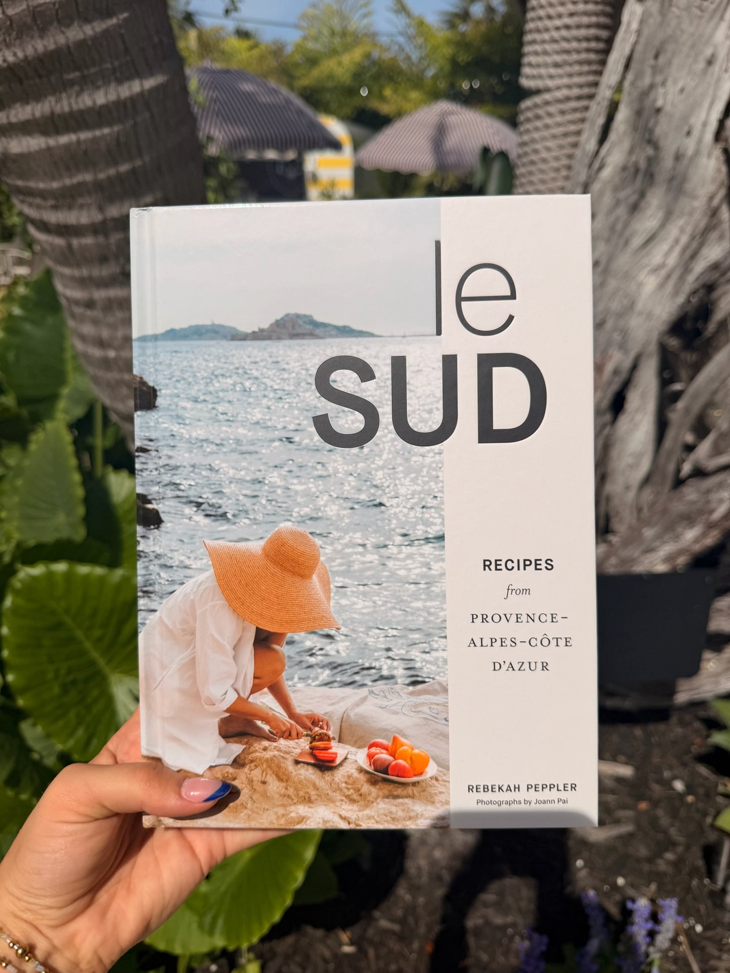Le Sud