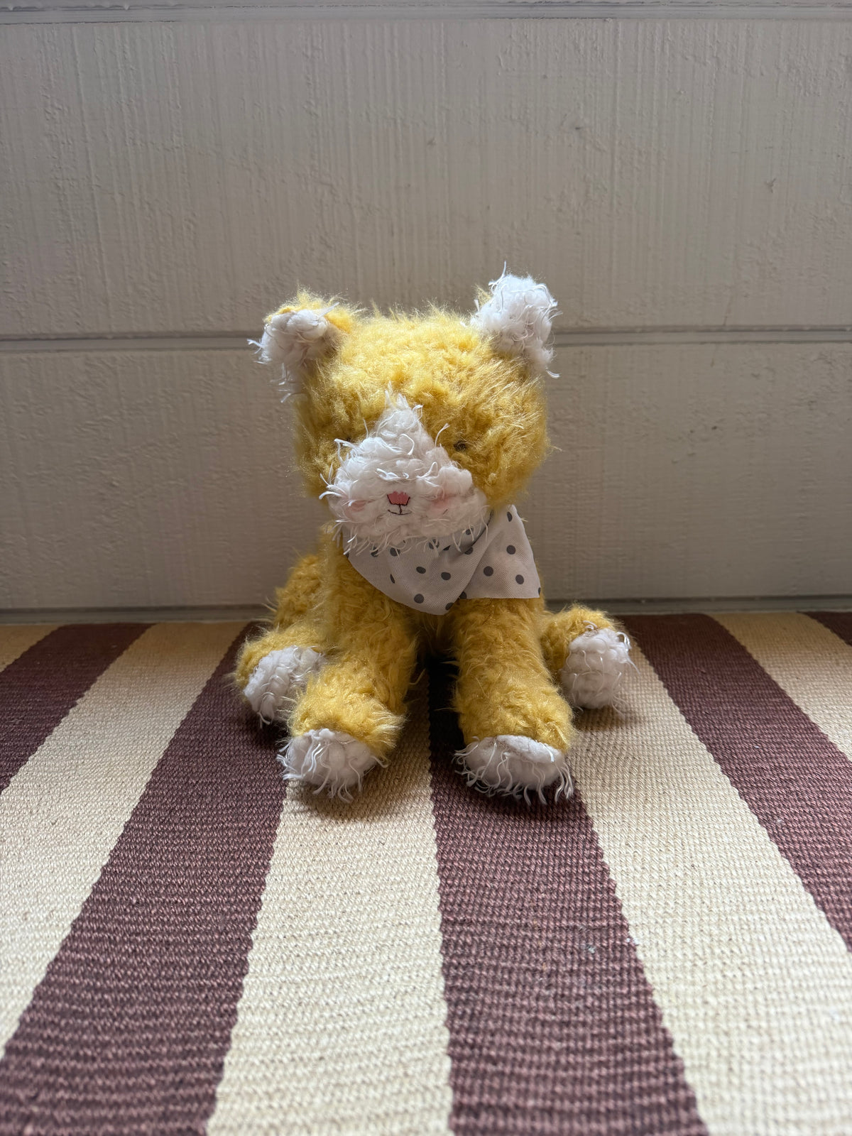Catie the Cat