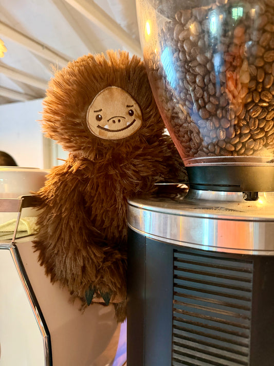 Coffee the Bigfoot