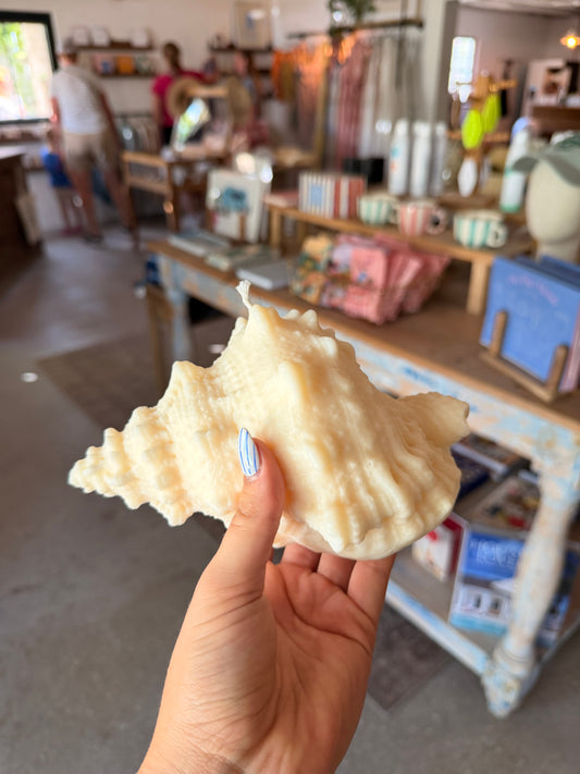 Conch Sea Shell Candle